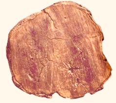 Forma/molde Pisante Abs Caminho Para Jardim Tora De Madeira