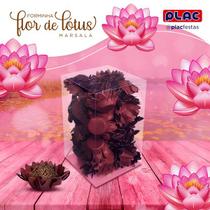 Forma p/ Doce Flor de Lótus Caixa c/40 Unidades - PLAC (DIVERSAS CORES)