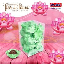 Forma p/ Doce Flor de Lótus Caixa c/40 Unidades - PLAC (DIVERSAS CORES) - Festas Brinquedos