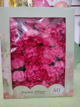 Forma para bombons 40 und