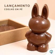 Forma Prática Coelho Grande FP167 - 1 unidade - Crystal