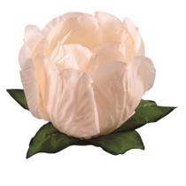 Forma Princesa Creme 30 Un - Decora Forma Princesa Creme 30 Un - Decora