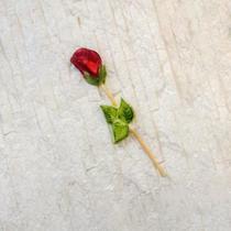 Forma simples para chocolate Rosa Pirulito Bwb 22