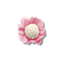 Forma Style Rosa Bb 40 Un - Ultrafest