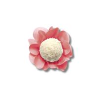 Forma Style Rosa Chá 40 Un - Ultrafest