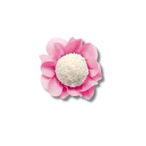 Forma Style Rosa Claro 40 Un - Ultrafest