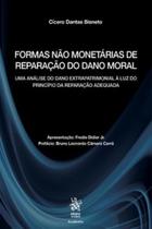 Formas nao monetarias de reparacao do dano moral: uma analise do dano extra - TIRANT EMPORIO DO DIREITO EDIT