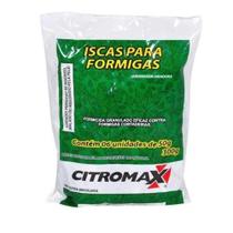 Formicida Isca Casca Laranja 300gr - Forth