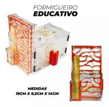 Formigueiro Formiga Ninho Criação Brinquedo Educativo - DF88