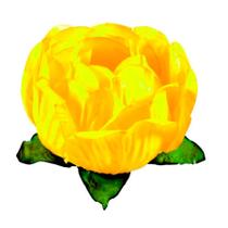 Forminha para Doces Finos - Bela Amarelo Vivo - 30 unidades - Decora Doces - Rizzo Forminha para Doces Finos - Bela Amarelo Vivo - 30 unidades - Decora Doces - Rizzo