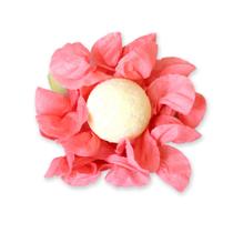 Forminha para Doces Finos - Sol - Viscose Pin Art - Salmon - 25 unidades - Maxiformas - Rizzo