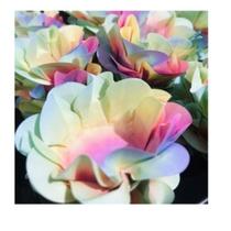 Forminha Style Tie Dye - Ultrafest 40 Unidades Forminha Style Tie Dye - Ultrafest 40 Unidades