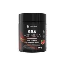Fórmula SB4