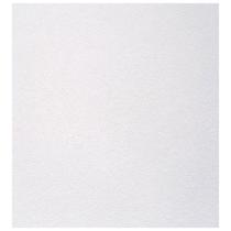 Forro E-Clean Gesso PVC Liso Espaço Forro Branco 625 x 625 x 8mm
