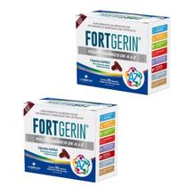 Fortgerin A a Z 30 Capsulas SoftGel Kit 2 caixas Fortgerin A a Z 30 Capsulas SoftGel Kit 2 caixas