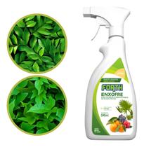 Forth Enxofre Líquido Pronto para Uso - 500 mL