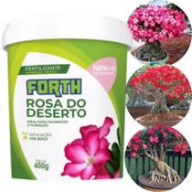 Forth Rosa do Deserto pote 400 gr Forth Rosa do Deserto pote 400 gr