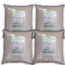 Fosfato natural reativo 20kg Rica Fonte de Fosforo - Pó de Rocha