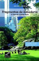 Fragmentos de sabedoria - o anjo do central park