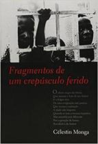 Fragmentos de um crepúsculo ferido