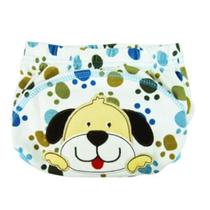 Fralda, Cueca ou Calcinha de Treinamento para transição de Desfralde bebê Infantil Fralda, Cueca ou Calcinha de Treinamento para transição de Desfralde bebê Infantil