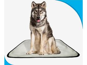 Fralda móvel pet para cachorros lavável 2un G 90x100cm Fralda móvel pet para cachorros lavável 2un G 90x100cm