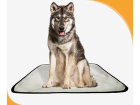 Fralda Móvel Pet Para Cachorros Lavável 3Un G 90X100Cm