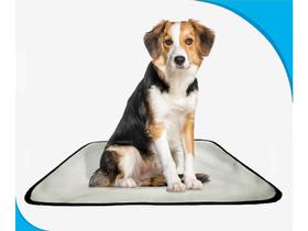 Fralda móvel pet para cachorros lavável 4un P 50x60 cm