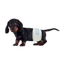 Fraldas para Cães BV Male Small (30-48cm) - 50 Unidades Superabsorventes