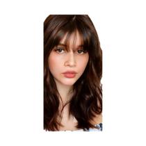 Franja Falsa Natural Preta E Castanha De Cabelo Sintético Com Presilha Para Mulheres E Meninas Franja Falsa Natural Preta E Castanha De Cabelo Sintético Com Presilha Para Mulheres E Meninas