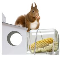 Frasco de galão de quintal Squirrel Feeder PFNRTH para exterior