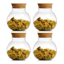 Frasco de Vidro DNIENKGE 500 ml com Tampa de Cortiça Hermética (4) Frasco de Vidro DNIENKGE 500 ml com Tampa de Cortiça Hermética (4)