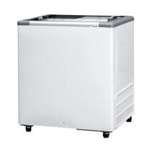 Freezer Conservador Horizontal 216L 2 Portas de Vidro Fricon 220v