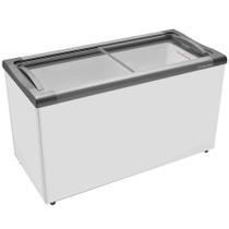 Freezer Expositor Horizontal 399 Litros para Sorvertes e Congelados Metalfrio NF40S