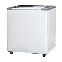 Freezer Horizontal HCED-216 2V Dupla Ação Portas de Vidro Deslizante 216 Litros Fricon