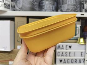 Freezer Line 450ml Tupperware - Recipiente para Armazenamento Freezer Line 450ml Tupperware - Recipiente para Armazenamento