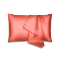 Fronha Cetim Anti Frizz Avulsa 70cm x 50cm Travesseiro Macia