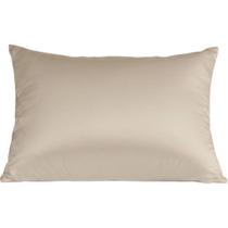 Fronha TermoFresh 90% Nylon 50x70cm 150g/m² Tessi Centeio Claro