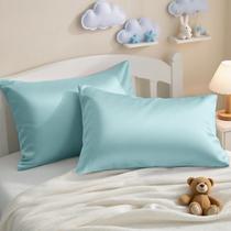 Fronhas NTBAY 2 peças 33x46 cm Algodão 500 TC Aqua