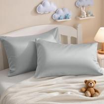 Fronhas NTBAY, pacote com 2, 33x46 cm, algodão egípcio, 500 TC, cinza Fronhas NTBAY, pacote com 2, 33x46 cm, algodão egípcio, 500 TC, cinza