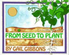 Froom seed to plant