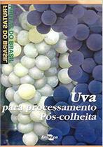 Frutas do Brasil - Uva para processamento: Pós-Colheita
