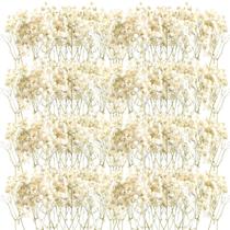 Fumete de flores secas para bebês, 200 unidades para decoração de casamento Fumete de flores secas para bebês, 200 unidades para decoração de casamento