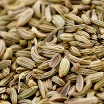 Funcho Sementes 250gr