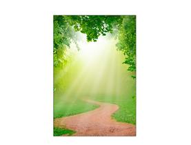 Fundo Fotográfico 1,50 x 2,20 - Desenho Floresta 004