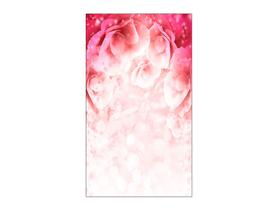 Fundo Fotográfico 1,50 X 2,60 - Flores Rosa Claro 008