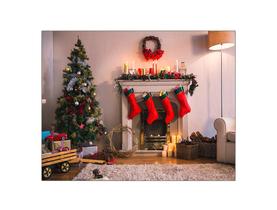 Fundo Fotográfico 1,55 X 1,20 - Natal Sala com Árvore e Lareira 053