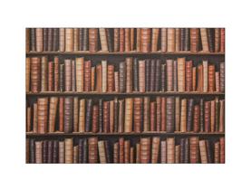 Fundo Fotográfico 2,20 x 1,50 - Biblioteca Estante De Livros 002