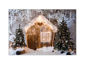 Fundo Fotográfico 2,20 x 1,50 - Casinha de Natal 041
