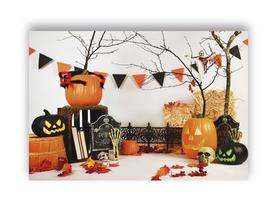 Fundo Fotográfico 2,20 x 1,50 - Cenário Halloween Fundo Branco 017